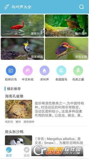 鳥叫聲大全app3.5.8