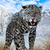 野生雪豹模拟器v2.2
