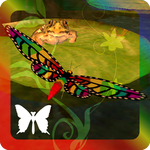 Butterfly Game(蝴蝶模拟飞行手游)V1.5.3