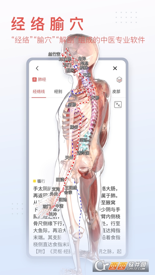 3Dbody解剖安卓版V8.6.80