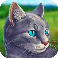 Cat Simulator  Animal Lifev1.0.0.9
