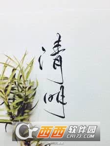 菊花紋字體轉(zhuǎn)換器官方版