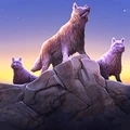 野狼与山羊模拟生存v1.0.3