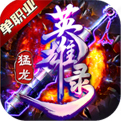 猛龍英雄錄單職業(yè)v1.95