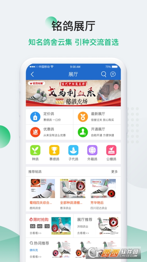 中國信鴿信息網(wǎng)app20220630