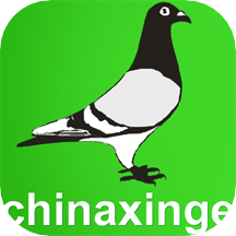 中国信鸽信息网app20220630