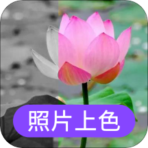 照片上色appv1.0.0