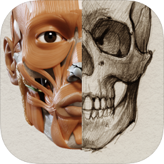 藝術家之3D解剖圖(Art Anatomy)v1.2.7.1