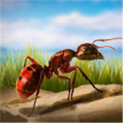 蚂蚁向前冲v1.0