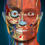 AnatomyLearning中文免費完整版appv2.1.374