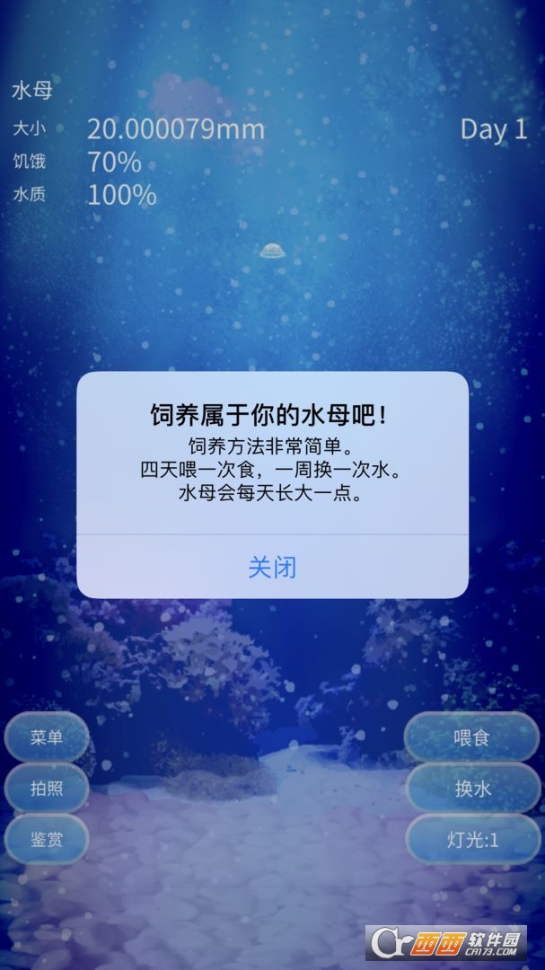 養(yǎng)育水母的治愈游戲v4.6